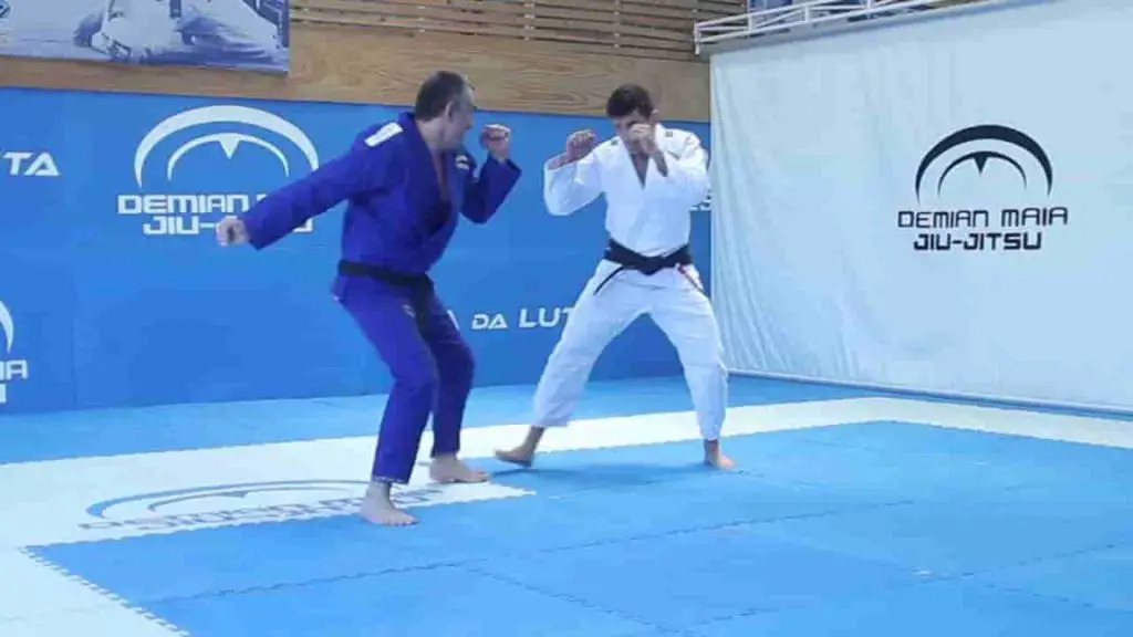 Does Brazilian Jiu Jitsu Have Punches?